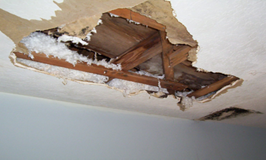 Ceiling damage with exposed wooden beams and torn drywall, revealing insulation. The scene suggests water damage and structural issues, conveying neglect.