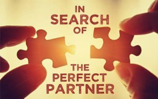 Two hands holding puzzle pieces toward each other on a warm, glowing background. Text reads, "In Search of the Perfect Partner," suggesting connection and harmony.